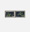Apricot Diptych II Framed Print