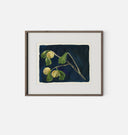 Apricot X Framed Print