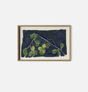 Apricot XIV Framed Print