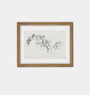 Blackberry Sketch Framed Print