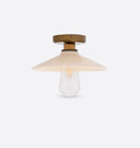 Pyrus Ceiling Light