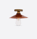 Pyrus Ceiling Light