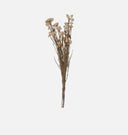 Dried Rice Flower Bunch