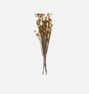 Dried Rice Flower Bunch