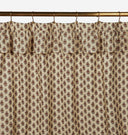 Paisley Shower Curtain