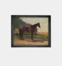 Saddle Horse in Farmyard Framed Print