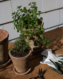 Leith Planter
