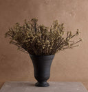 Dried Rice Flower Bunch