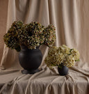Faux Chloris Hydrangea Bundle in Large Barro Vase