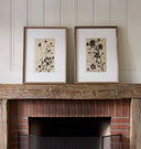 Meadow Rue No.8 Framed Print
