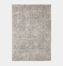 Alie ALE-01 Stone / Mist Area Rug