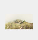 Morning Glory - Pacific Palisades