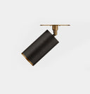 Albion Flush Mount Brass