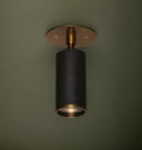 Albion Flush Mount Brass