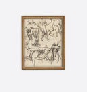 Animal Studies Framed Print 11" x 14" Black