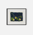 Apricot V Framed Print