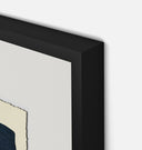 Apricot X Framed Print