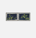 Apricot Diptych II Framed Print