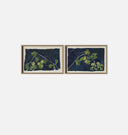 Apricot Diptych II Framed Print