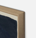 Apricot Diptych II Framed Print