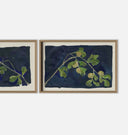 Apricot Diptych II Framed Print