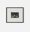 Apricot V Framed Print