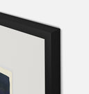 Apricot V Framed Print