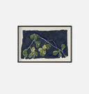 Apricot XIV Framed Print