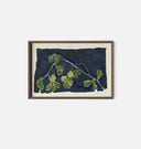 Apricot XIV Framed Print