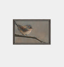 Birds by Lori Marie Framed Print