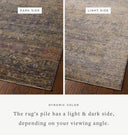 Bradbury BRU-05 Ink / Multi Area Rug