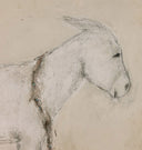 Burro Bestow Framed Print