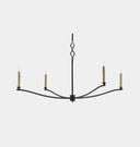 Bauer Chandelier