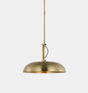 Cyrus 19" Pendant