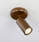 Evanston Ceiling Light Antique Brass