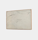 Examination of The Rose Framed Print