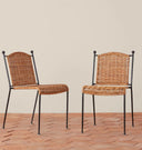 Felicia Indoor / Outdoor Dining Chair