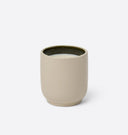 Homecourt Candle