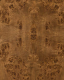 Honey Burl Sample