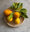 Samos Dinnerware