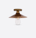 Pyrus Ceiling Light
