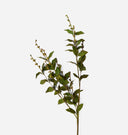 Faux European Beech Stem