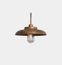 Darya Swan Neck Wall Light