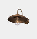 Darya Swan Neck Wall Light