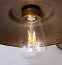 Darya Swan Neck Wall Light