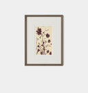 Meadow Rue No.1 Framed Print