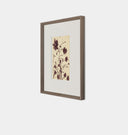 Meadow Rue No.1 Framed Print