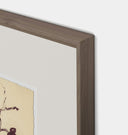 Meadow Rue No.1 Framed Print