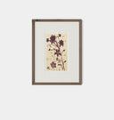 Meadow Rue No.2 Framed Print