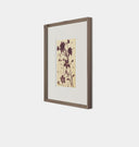 Meadow Rue No.2 Framed Print